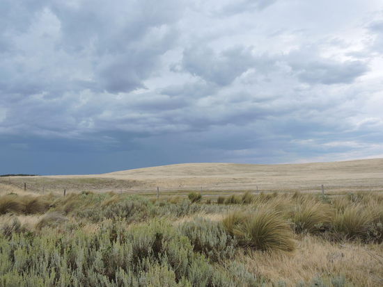 Ein Gewitter zieht heran Aussentemp. 40°