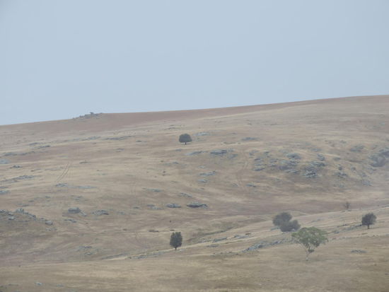 Wirklich karge Landschaft und dann noch Dauerregen