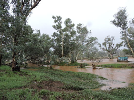 Hochwasser am Todd River