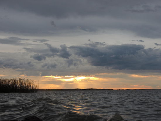 Blick auf Port Albert vom Motel-Zimmer
