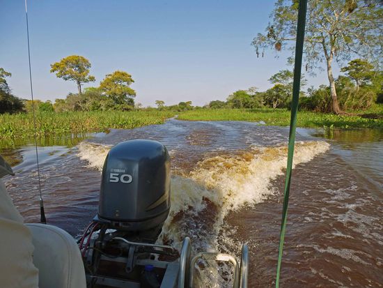 Ein Jaguar wurde gemeldet und dann so schnell fahren, wie es der Motor eben hergibt.