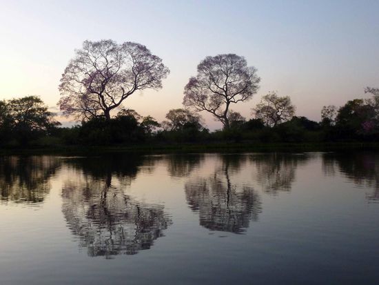 Am Rio Claro,  kurz vor Sonnenaufgang.