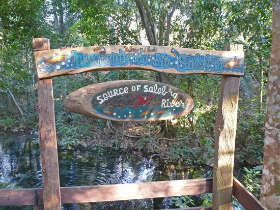 In der dahinterliegenden "Pfütze", sie ist dasQuellgebiet des o.a. Flusses, beginnt die Schnorcheltour.