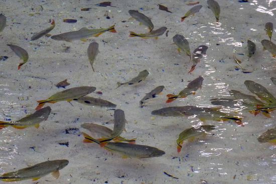 Zwischendurch mal einen Blick in eine der "Ecken" dieses Quellbereichs.