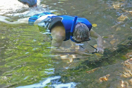 Schließlich wird es ernst und ich muss üben. In der vorderen rechten Bildecke ist ein Schwarm Minifische zu erkennen. Die haben mich beim Üben wenig schön belästigt, indem sie überall an der Haut meiner Beine und sogar an meinem Bauch herumgeraspelt haben. Ich habe das als unangenehm bis leicht schmerzhaft empfunden. Später, als wir dann mit der Strömung auf Tour gingen, waren die Quälgeister weg.