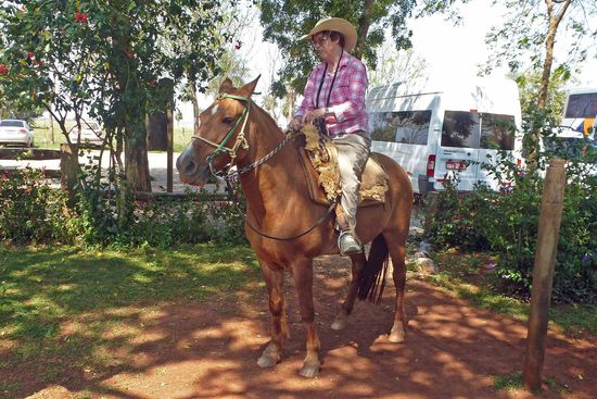 Mein Weibchen, hoch zu Ross.