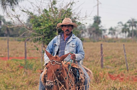 Der Schlussmann macht einen verwegenen Eindruck.