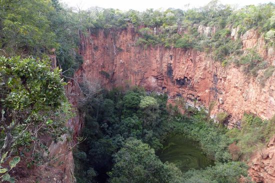 Die Grünfliegelaras haben sich diesen Krater deshalb ausgesucht, weil sie in den zahlreichen Felsspalten der Sandsteinwände ideale Brutstätten vorfinden.