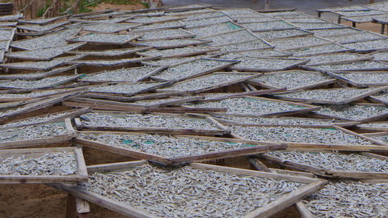 Schon aus weiter Ferne riecht man das Fischerdorf. Hier wird getrocknet, was das Zeug hält.