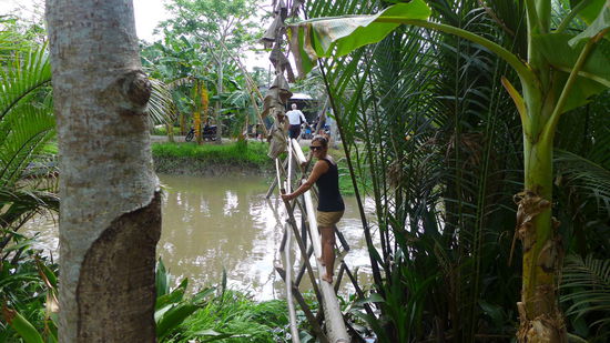 Ein bisschen Bewegung schadete auch nicht 