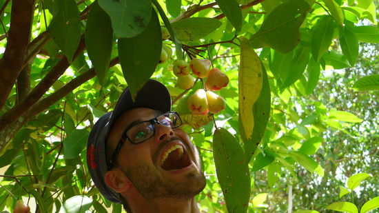 Der Fruit Garden...und die Raupe Nimmersatt war unterwegs 