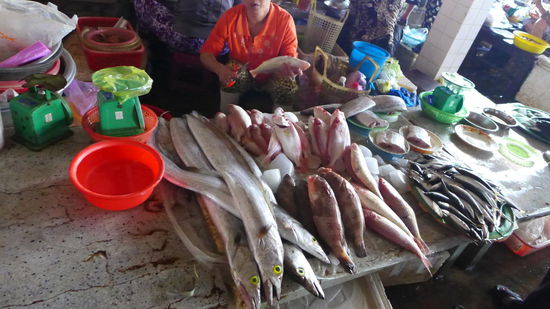 Frischer Fisch!  
Der Fang der letzten Nacht. Die Schrimps waren sogar noch voll aktiv. Frischer geht's nicht!