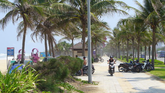 An der Promenade traut sich auch das Frauchen mit dem Pannenroller rollern. 