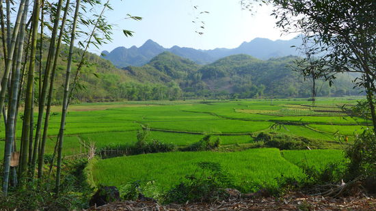 Wunderschöne Landschaft