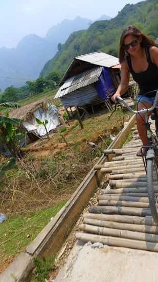 Echt stabil, dieser Bambus 