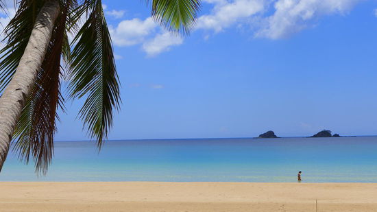 Wunderschöner Strand, wenn da nicht diese kleinen lästigen Quallen wären...