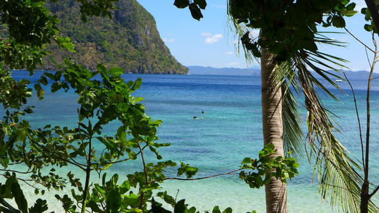 Die Unterwasserwelt hatte auch einiges zu bieten