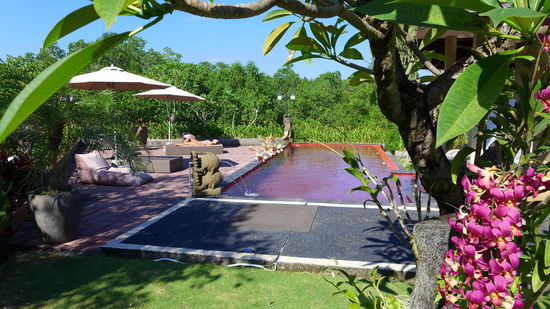 Super Unterkunft in den Mangrovenwälder