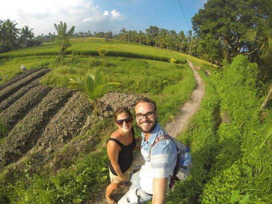 Reisterrassen von Ubud