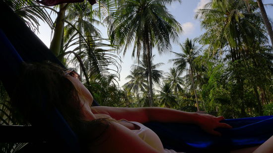 Blick von unserer Hängematte vor unserem Bungalow. 