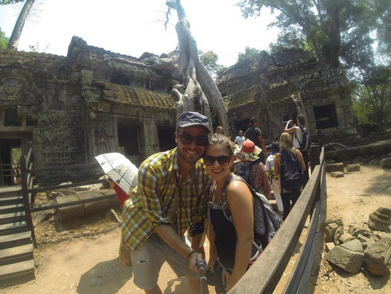 Wir und wohl die bekannteste Wurzel der Welt. 