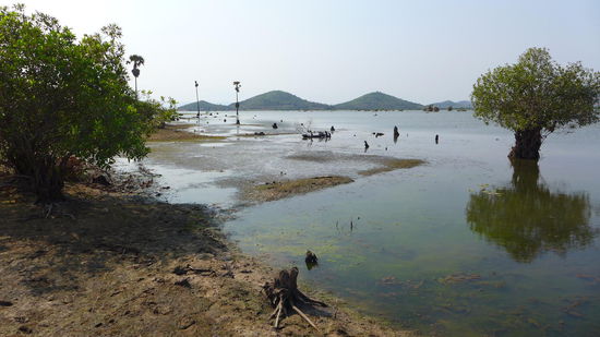 Der Secret Lake...nur ein kleiner Ausschnitt.