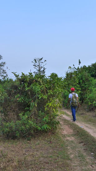 Unser Guide sprintet nach wie vor topfit im Eiltempo voran