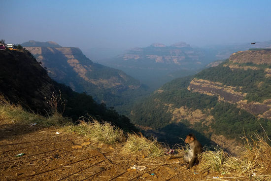 es geht runter zur Küste