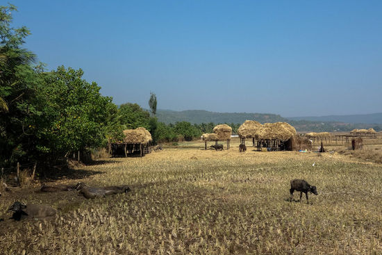 dörfliche Szene im Nachbarort von Kashid