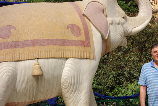 das Foto hat mein Fahrer gemacht