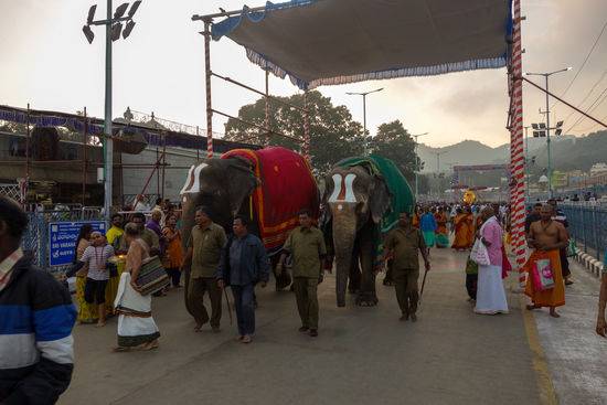 … dann setzt sich angeführt von den zwei Tempelelefanten eine Prozession in Gang