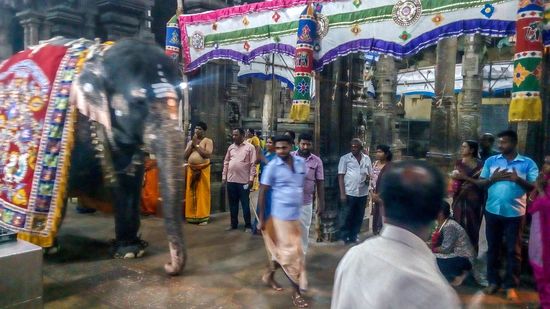 ...gefolgt von einem Elefanten ...