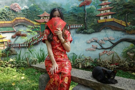 ....wage aber auch einen Vorschlag. "könntest du dich vielleicht  mal da zu der schwarzen Katze setzen?"