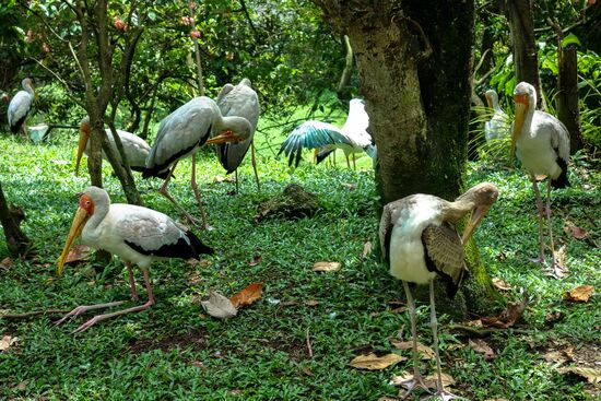 vor der Morgengymnastik ((links unten)