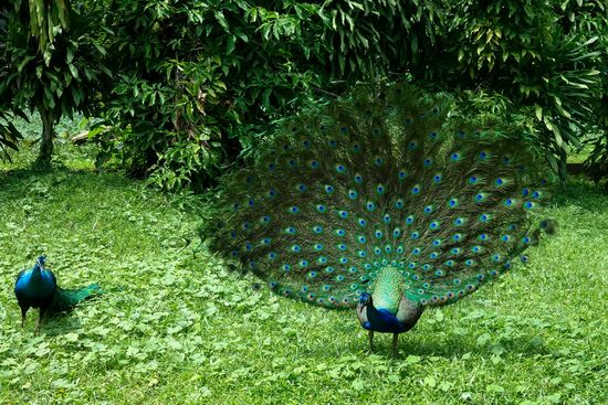 nach der Morgengymnastik (rechts)