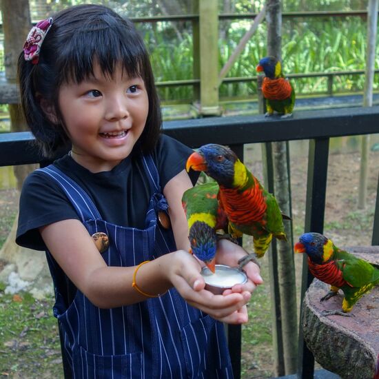 Der Ausflug in den Bird Park von Kuala Lumpur hat nicht nur mir gefallen