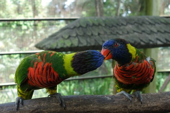 was unterscheidet das Tier vom Mensch?