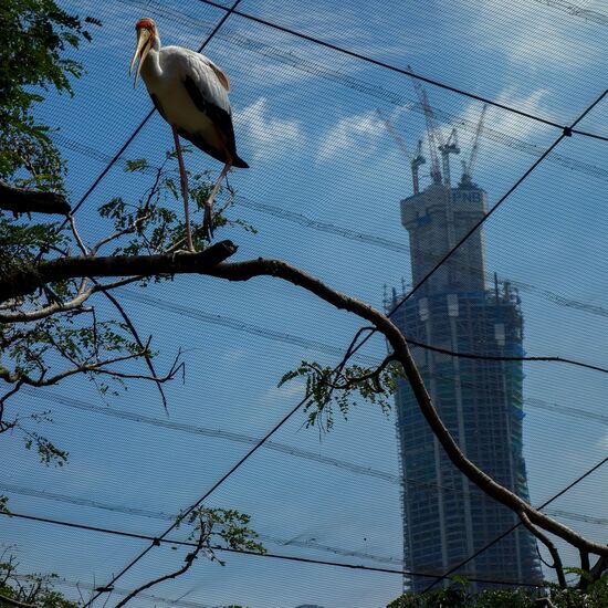 Der Blick auf die Natur zeigt auch eine sich verändernde Welt