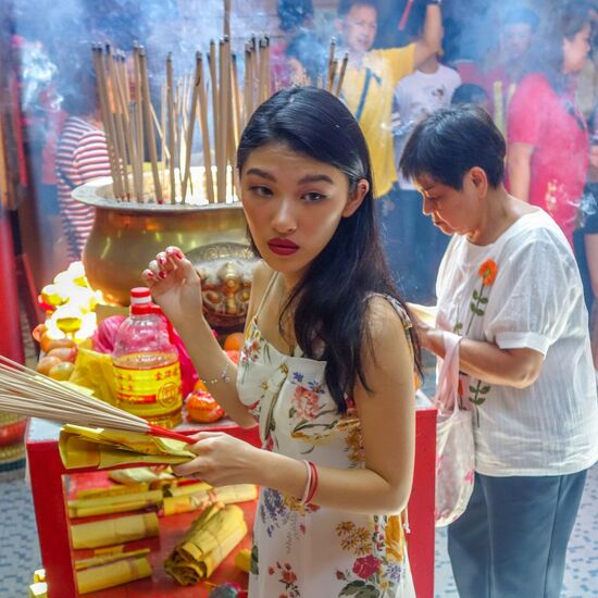 ... der Hauptgrund dürften wohl Tempelbesucher wie diese Dame hier sein,
die Fotografen werden gekonnt ignoriert