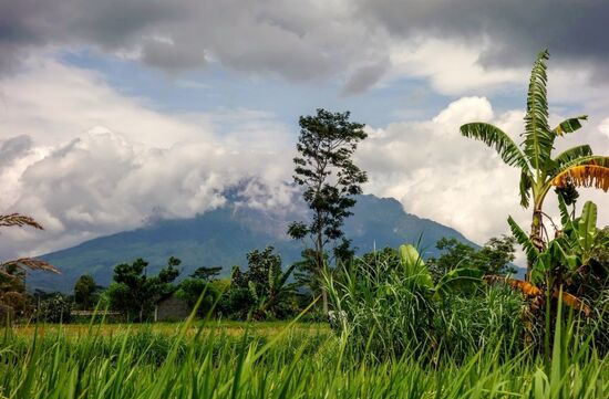 Auf dem Rückweg geht es noch am Vulkan Merapi vorbei. Da hoch schaffe ich es nicht mehr.