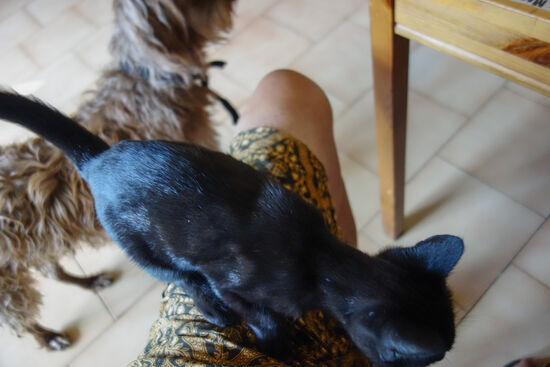 Frühstücksgäste - denen konnte ich aber nichts abgeben