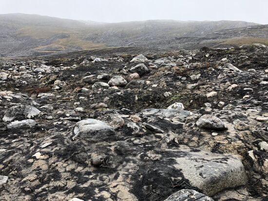 Verbrannte Erde vom Torffeuer 2017