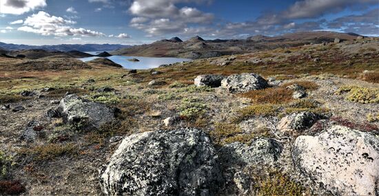 Blick zurück auf den See Qarlissuit und gaaanz hinten ein Eckchen des Amitsorsuaq.