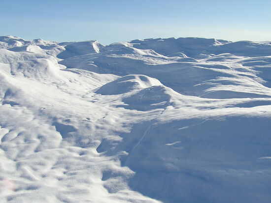 Auf dem Ice Cap - 2000 bis 3000 m Eis unter den Füßen