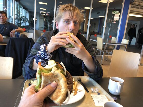 Moschus-Ochsen-Burger - auch lecker!