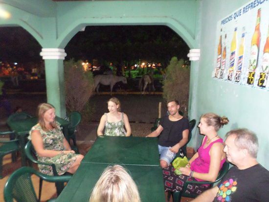 Pferde auch vor der Kneipe