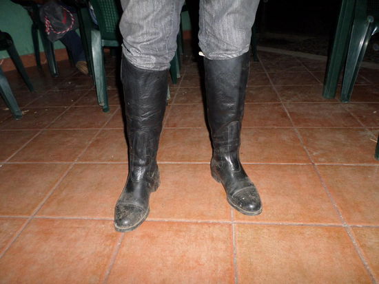 Das Geburtstagsgeschenk