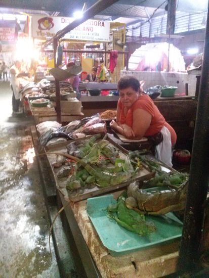 Auf dem Markt (vorn Leguane)