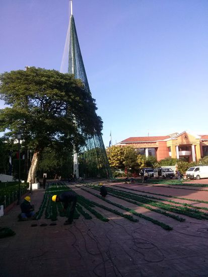 Der Weihnachtsbaum im "Aufbau"