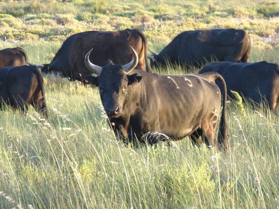 ..... was für ein freundlich-freundschaftlicher Blick... ....